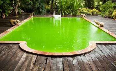 La méthode infaillible pour rattraper l’eau verte de sa piscine en 7 minutes