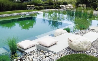 Piscine Naturelle et son Écosystème, une Bonne Alternative Green ?