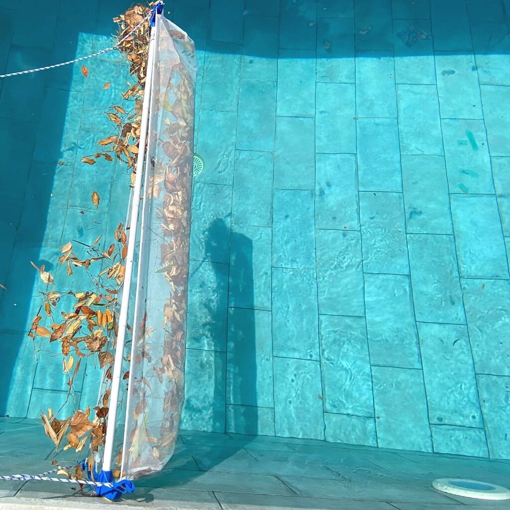Épuisette de surface pour piscine