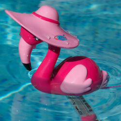 Thermomètre de piscine - Flamant rose - flottant dans l'eau